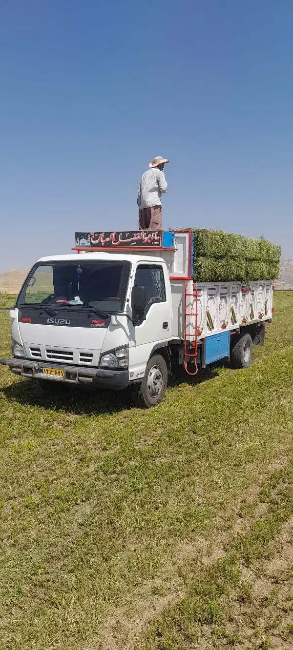 حمل بار با خاور ایسوزو|خدمات حمل و نقل|کوهدشت, |دیوار