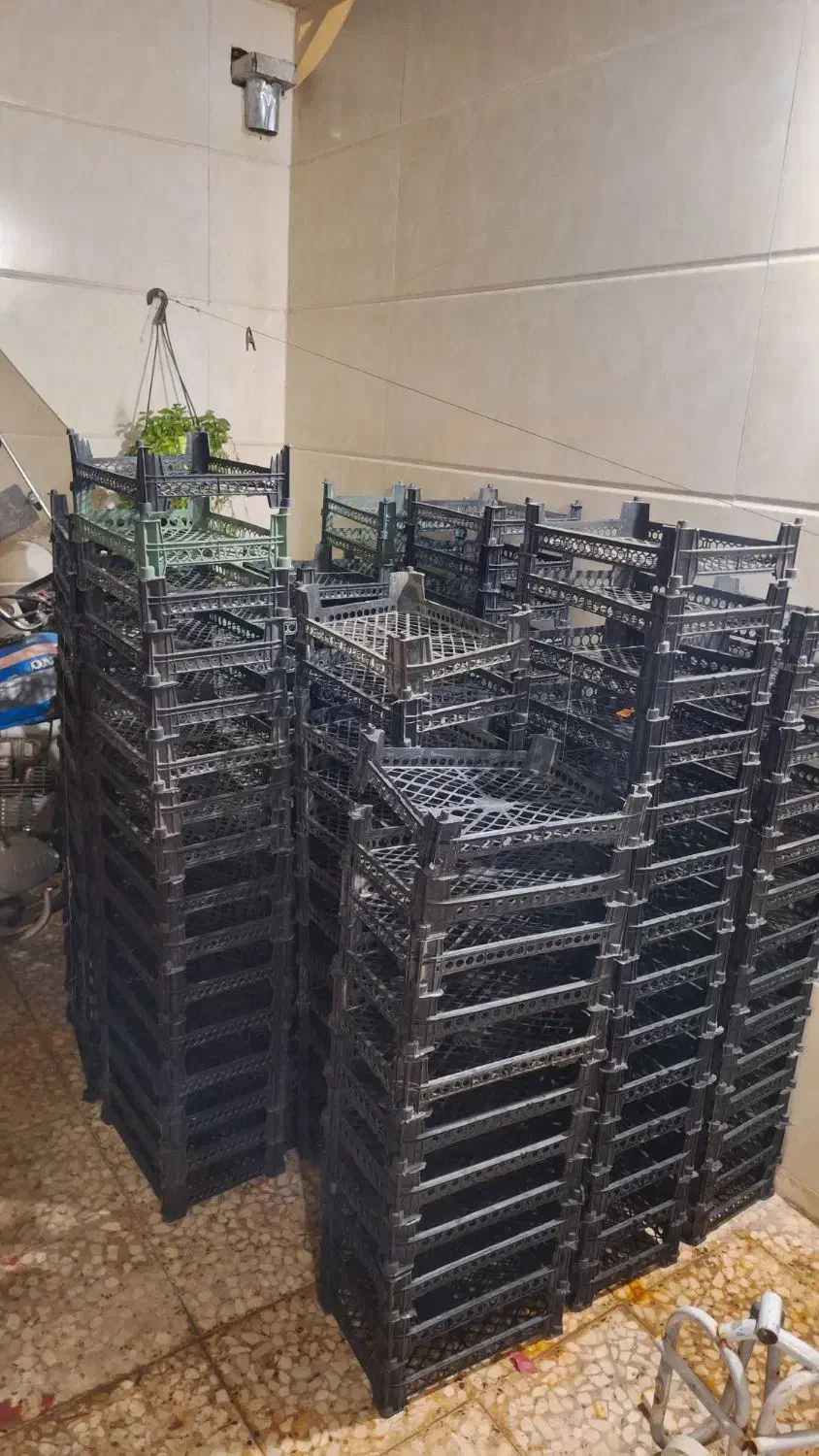 جعبه میوه|ظروف نگهدارنده، پلاستیکی، یکبارمصرف|کاشان, پارک لاله|دیوار