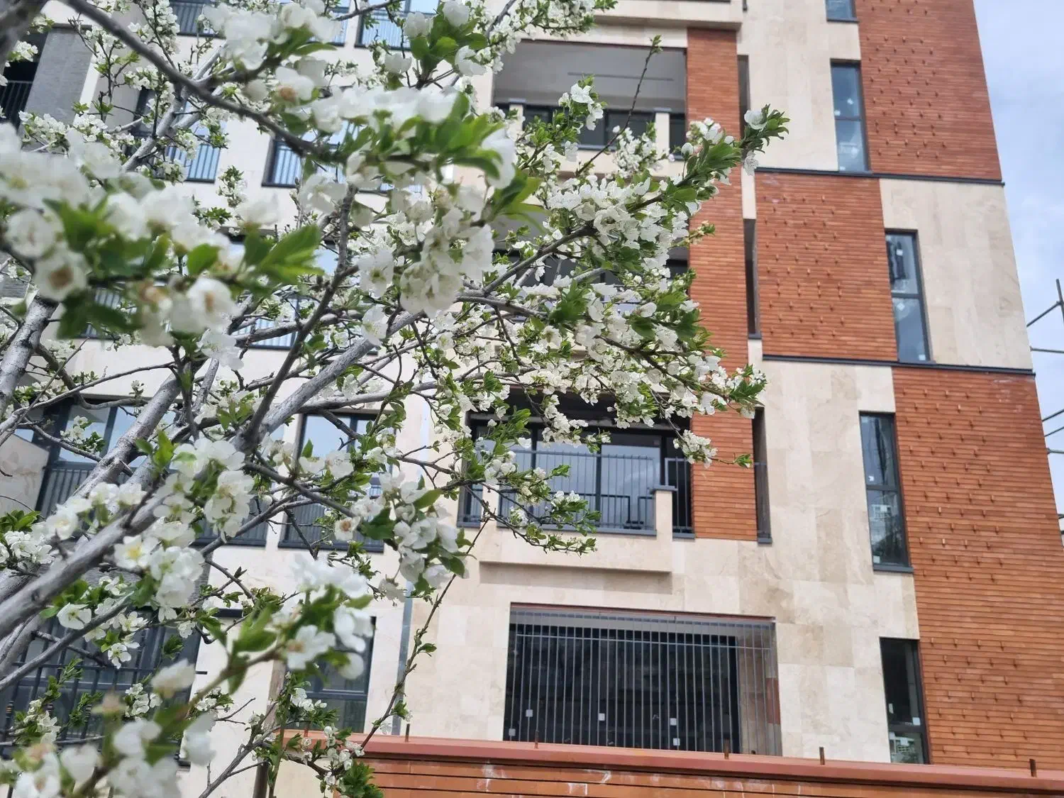 136 متری بلوار ارم تک واحدی کلید نخورده|اجارهٔ آپارتمان|همدان, |دیوار