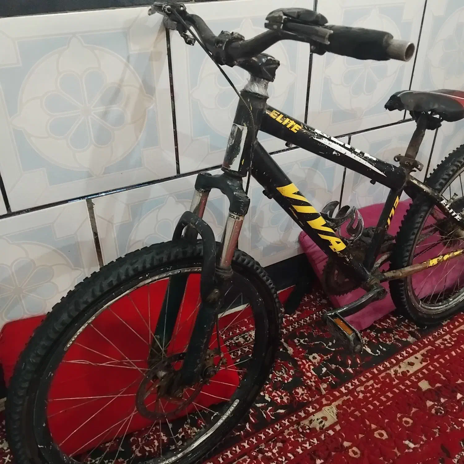 دوچرخه|دوچرخه، اسکیت، اسکوتر|شادگان, |دیوار