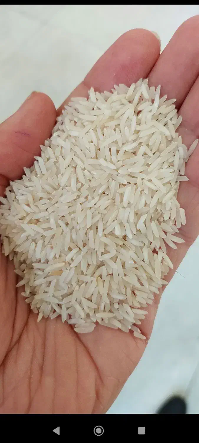 برنج پاکستانی گل ممتاز|خوردنی و آشامیدنی|گنبد کاووس, |دیوار