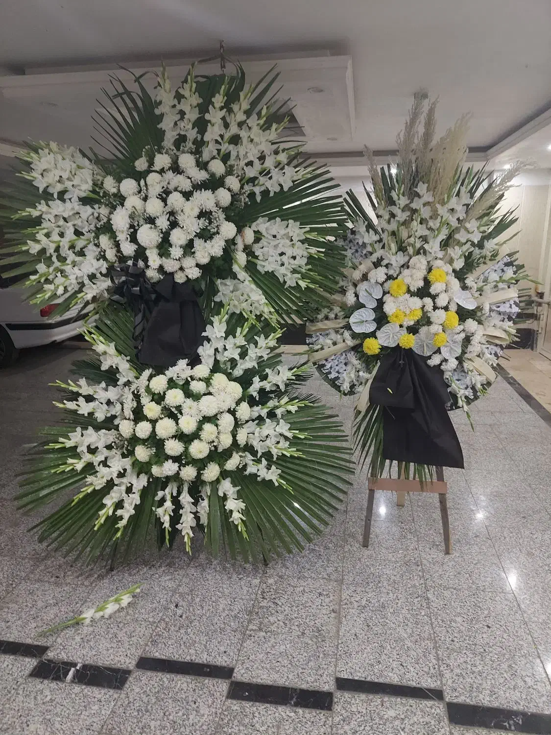 تاج گل|گل و گیاه طبیعی|تهران, باغ خزانه|دیوار