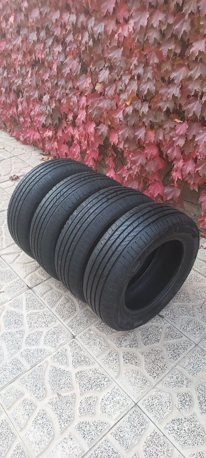 لاستیک15|قطعات یدکی و لوازم جانبی|هشتگرد, هیو|دیوار