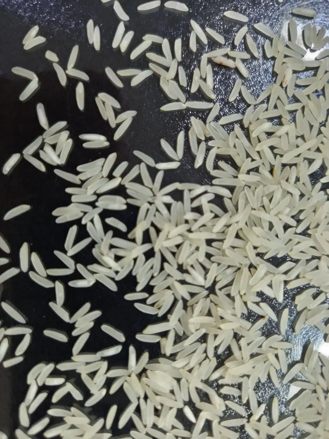 برنج اصل اصل سوزنی قیمت 235|عمدهفروشی|انبارآلوم, |دیوار