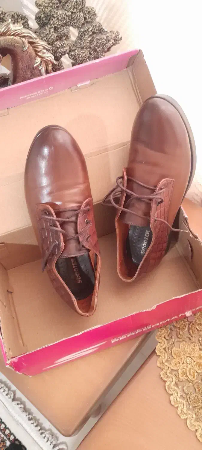 کفش  راحتی چرم اسکوتر|کیف، کفش، کمربند|پرند, فاز ۶|دیوار