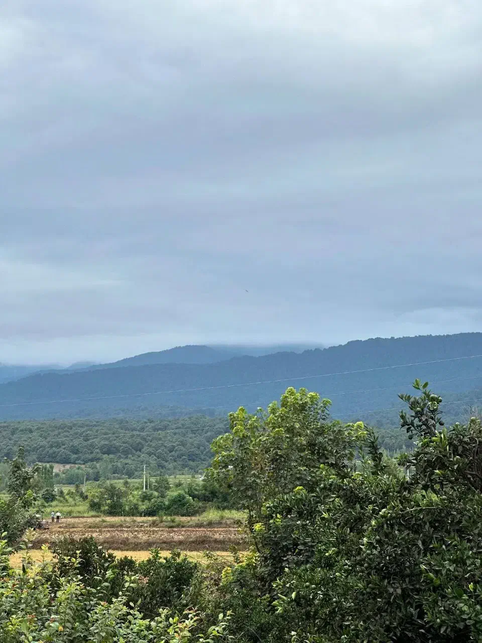 ویلا نیم پیلوت شهرکی با ویو ابدی کوهستان و جنگل|فروش خانه و ویلا|امامزاده عبدالله, |دیوار