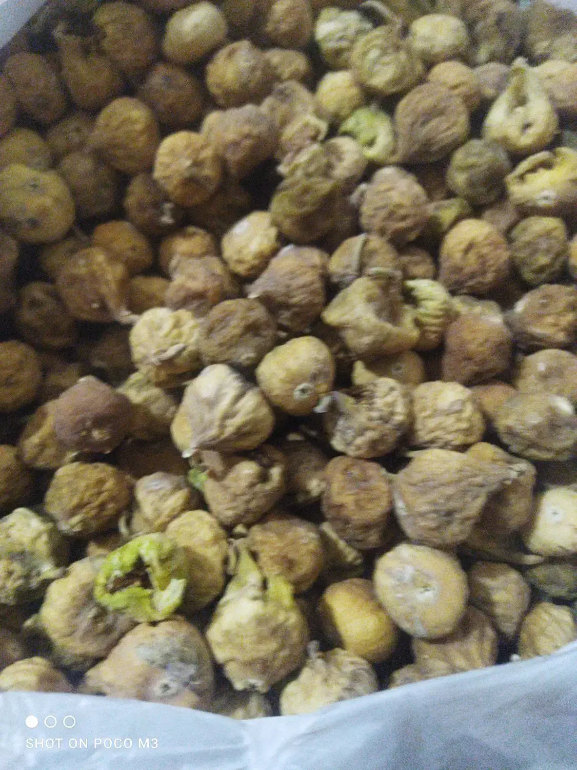مقداری انجیر|خوردنی و آشامیدنی|شیراز, گل سرخ|دیوار