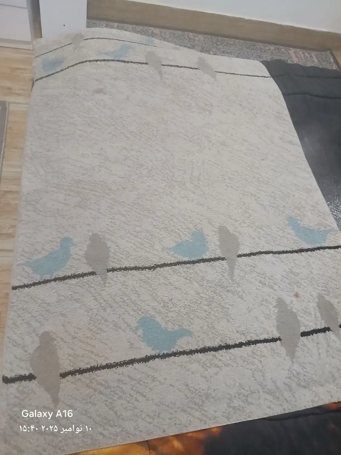 قالیچه|فرش|هشتگرد, مدرس|دیوار