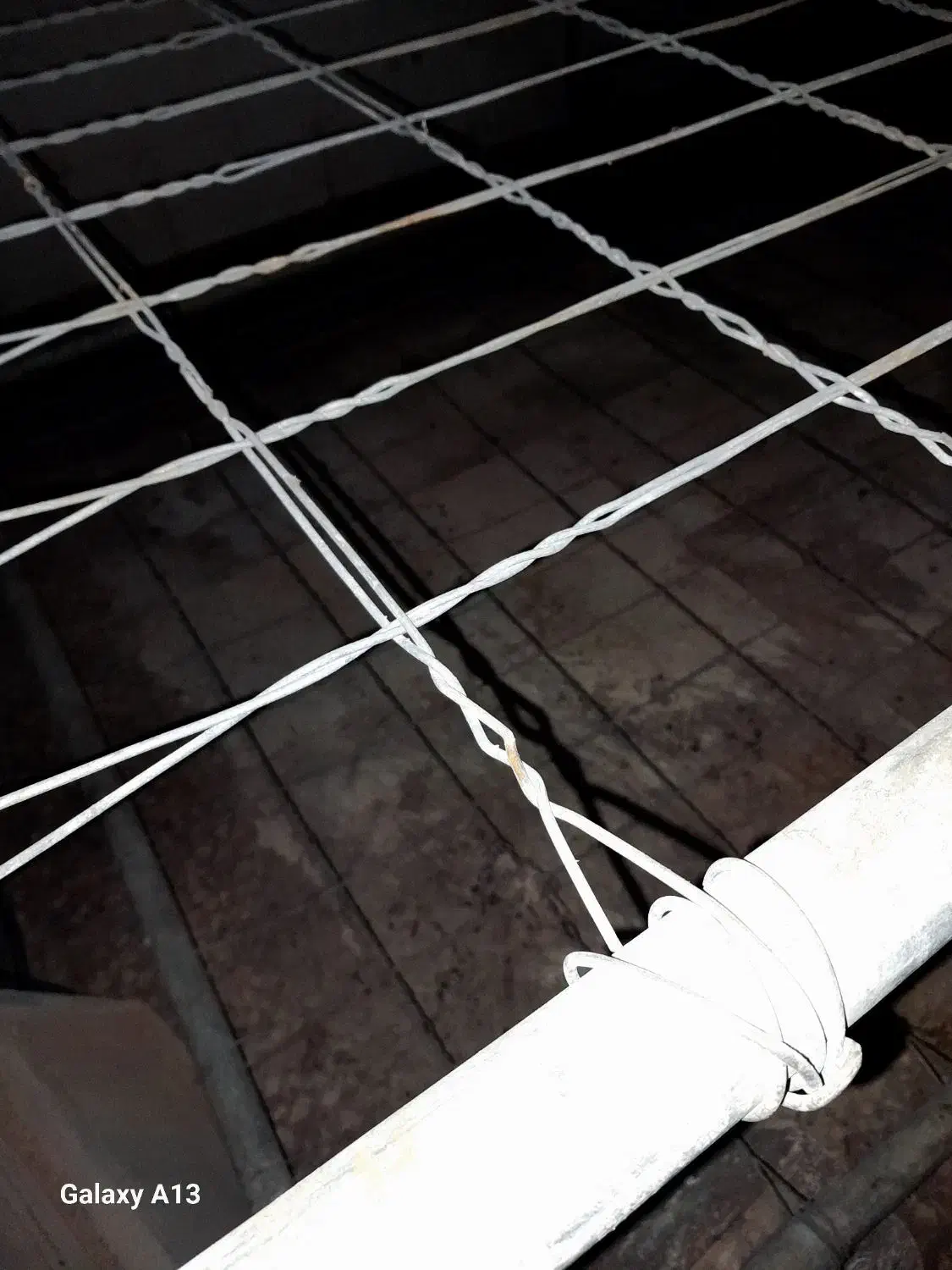 فروش قفسه های قارچ|عمدهفروشی|جرقویه, |دیوار