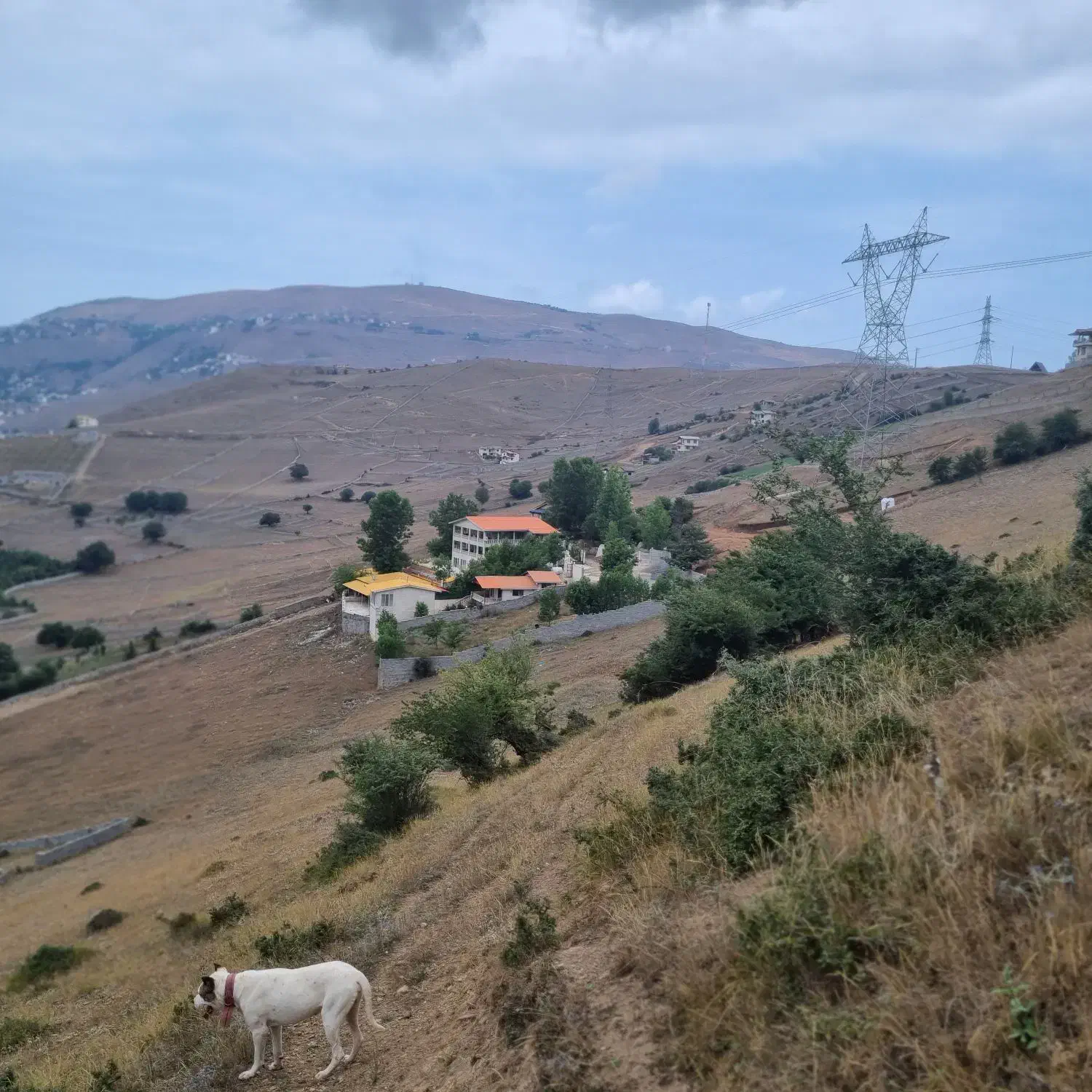 استخدام سرایدار در کلاردشت بالای اسپندکلا|استخدام سرایداری و نظافت|مرزن‌آباد, |دیوار