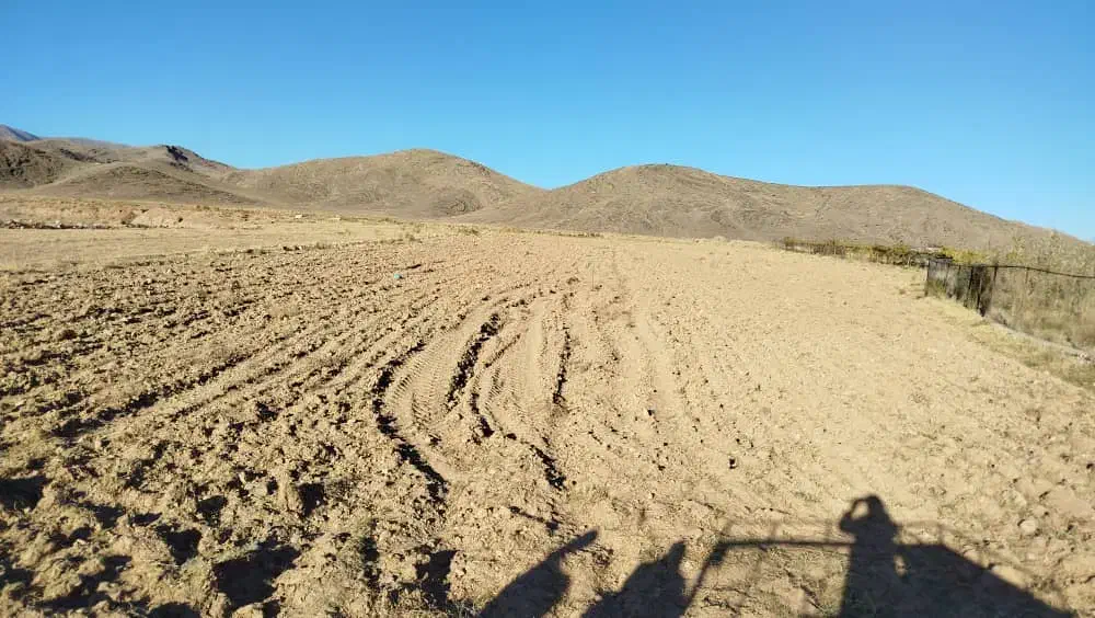 فروش زمین کشاورزی|فروش دفتر صنعتی، کشاورزی، تجاری|ماکو, |دیوار