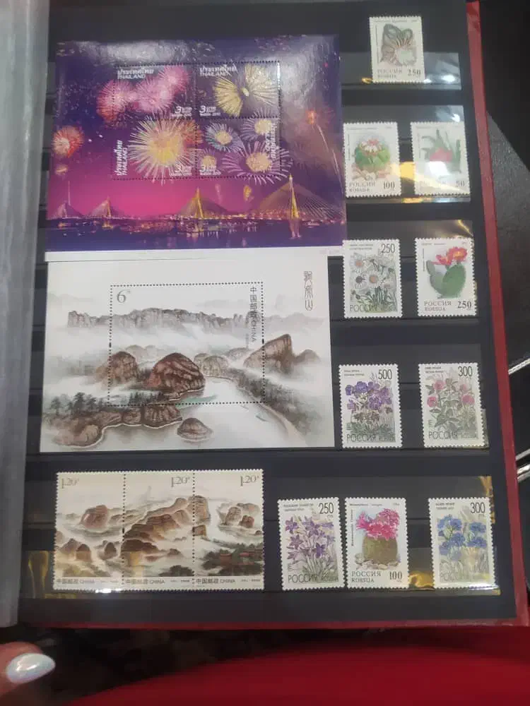 آلبوم تمبر|کلکسیون سکه، تمبر، اسکناس|رشت, کوی مهر|دیوار