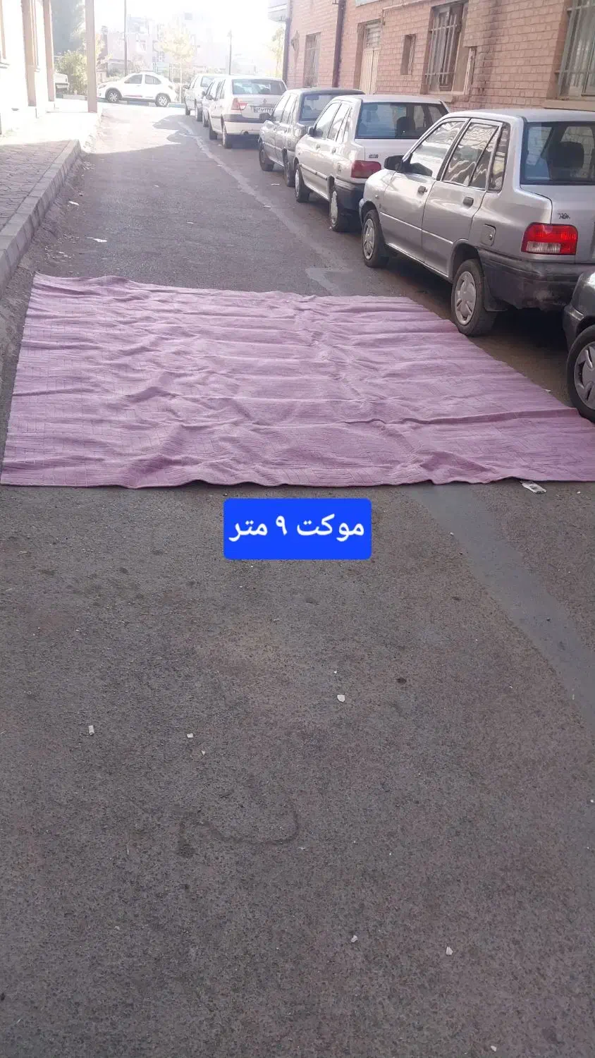 موکت|موکت|زنجان, |دیوار