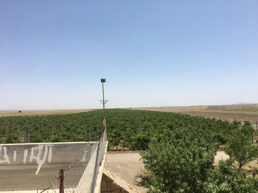 اجاره باغ انگور با ۲۰ ساعت اب چاه عمیق|اجارهٔ دفتر صنعتی، کشاورزی، تجاری|سبزوار, ابوریحان|دیوار