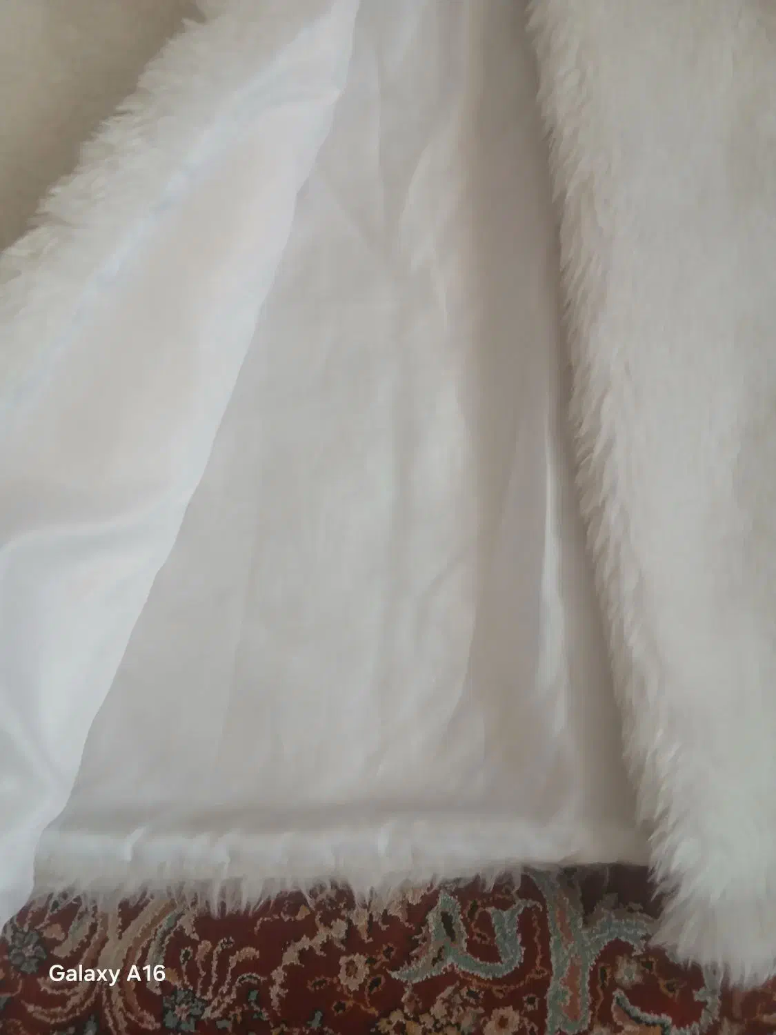 پالتو خز استر دار|لباس|شیروان (خراسان), |دیوار