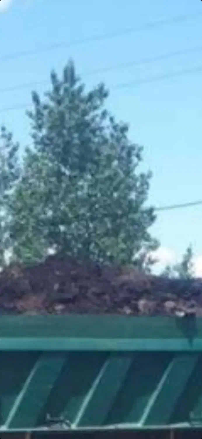 کودحیوانی (پهن )|خدمات باغبانی و درختکاری|میانه, |دیوار