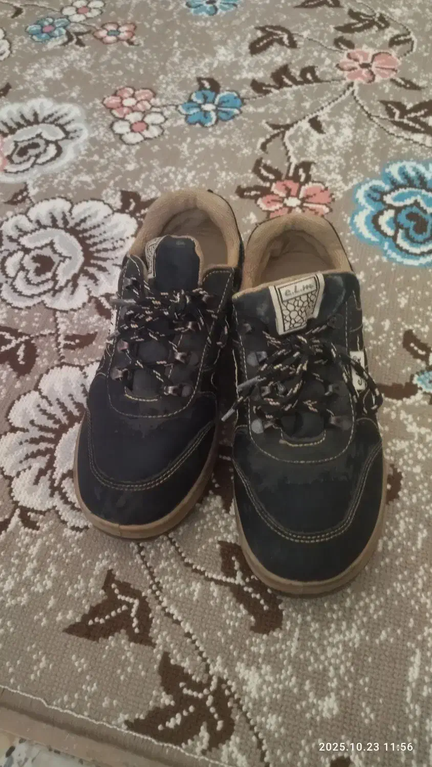 کفش|کیف، کفش، کمربند|مریوان, |دیوار