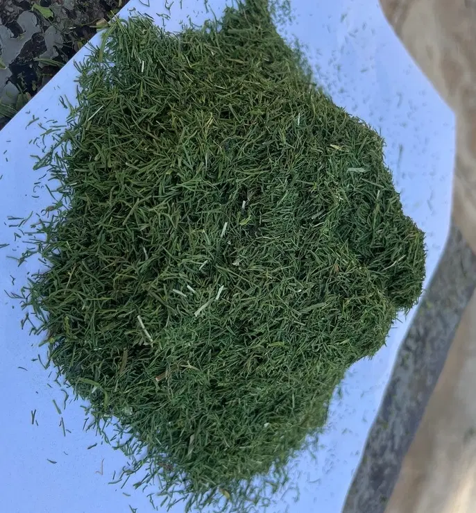 سبزی شوید خشک برگ درشت شسته شده بدون خاک|عمدهفروشی|تهران, جنتآباد مرکزی|دیوار