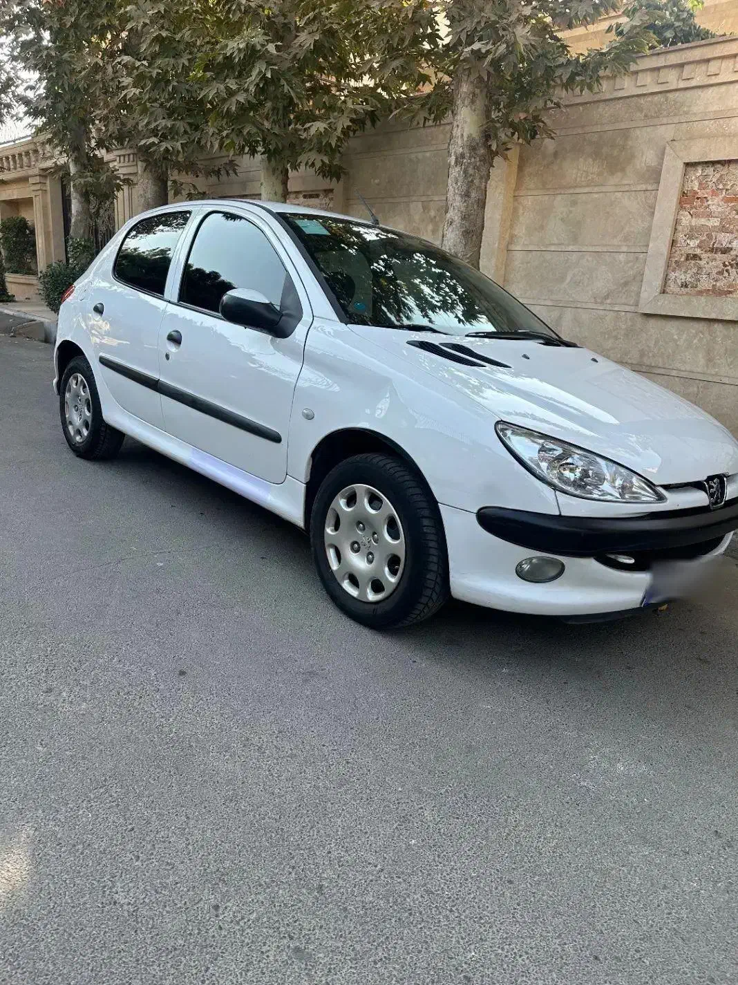 ۲۰۶تیپ۵|خودرو سواری و وانت|نظرآباد, رسالت|دیوار