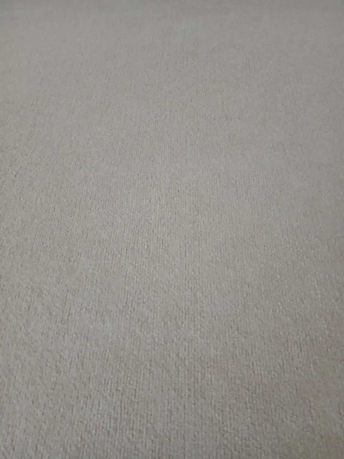 موکت|موکت|اردبیل, |دیوار