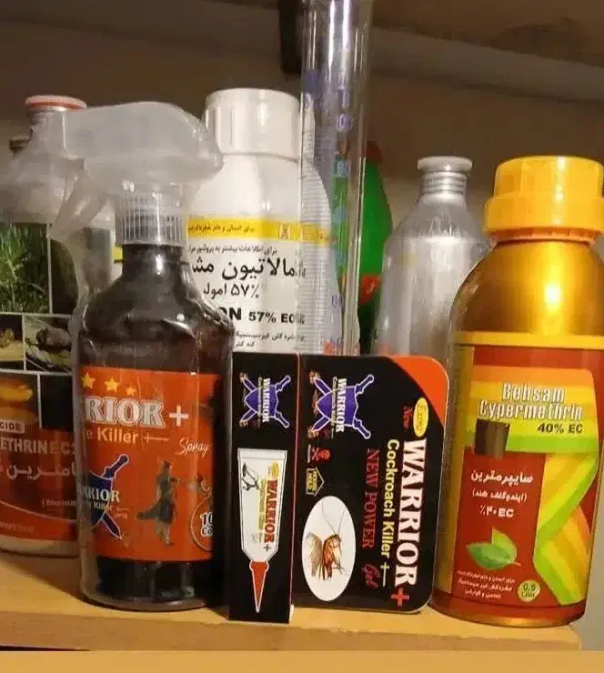 سمپاشی(سم پاشی)ساس سوسک موریانه موش وغیره|خدمات نظافت|ساری, |دیوار