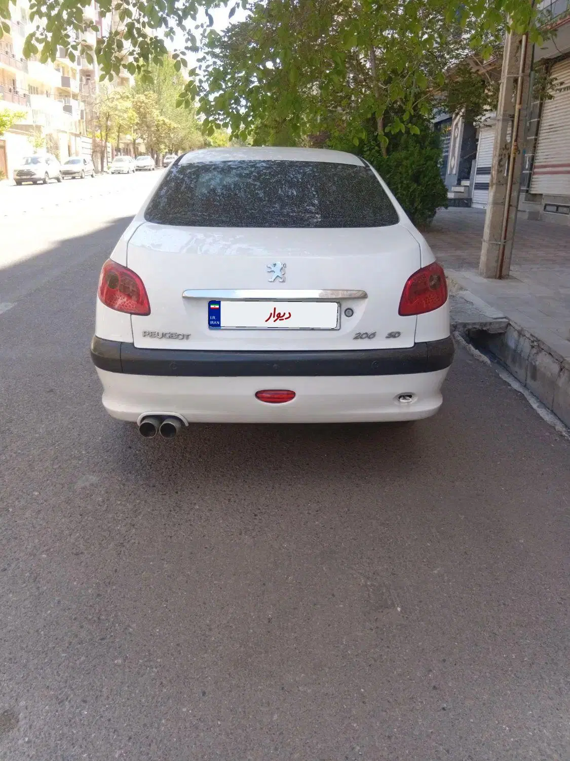 206 sd v8|خودرو سواری و وانت|تبریز, |دیوار
