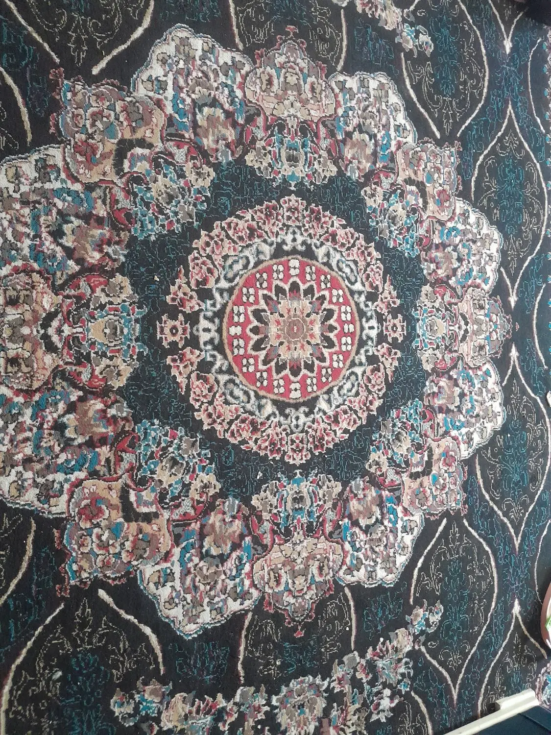 فرش|فرش|مشهد, کوی سیدی|دیوار