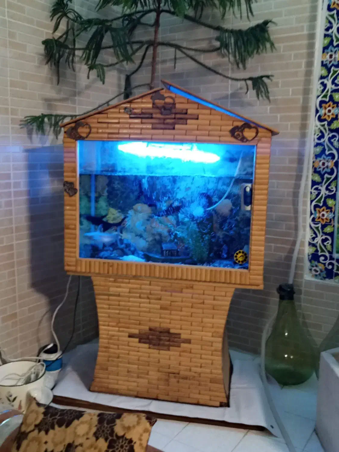 آکواریوم کلبه ای|ماهی|شیراز, آزادگان|دیوار