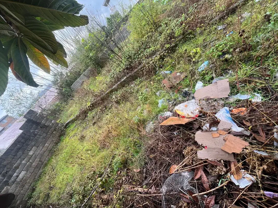 زمین ۳۰۰ متری فروشی عباس آباد|فروش زمین و ملک کلنگی|عباسآباد, |دیوار