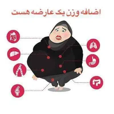 تا یلدا لاغر شو|آرایشی، بهداشتی، درمانی|شاندیز, |دیوار