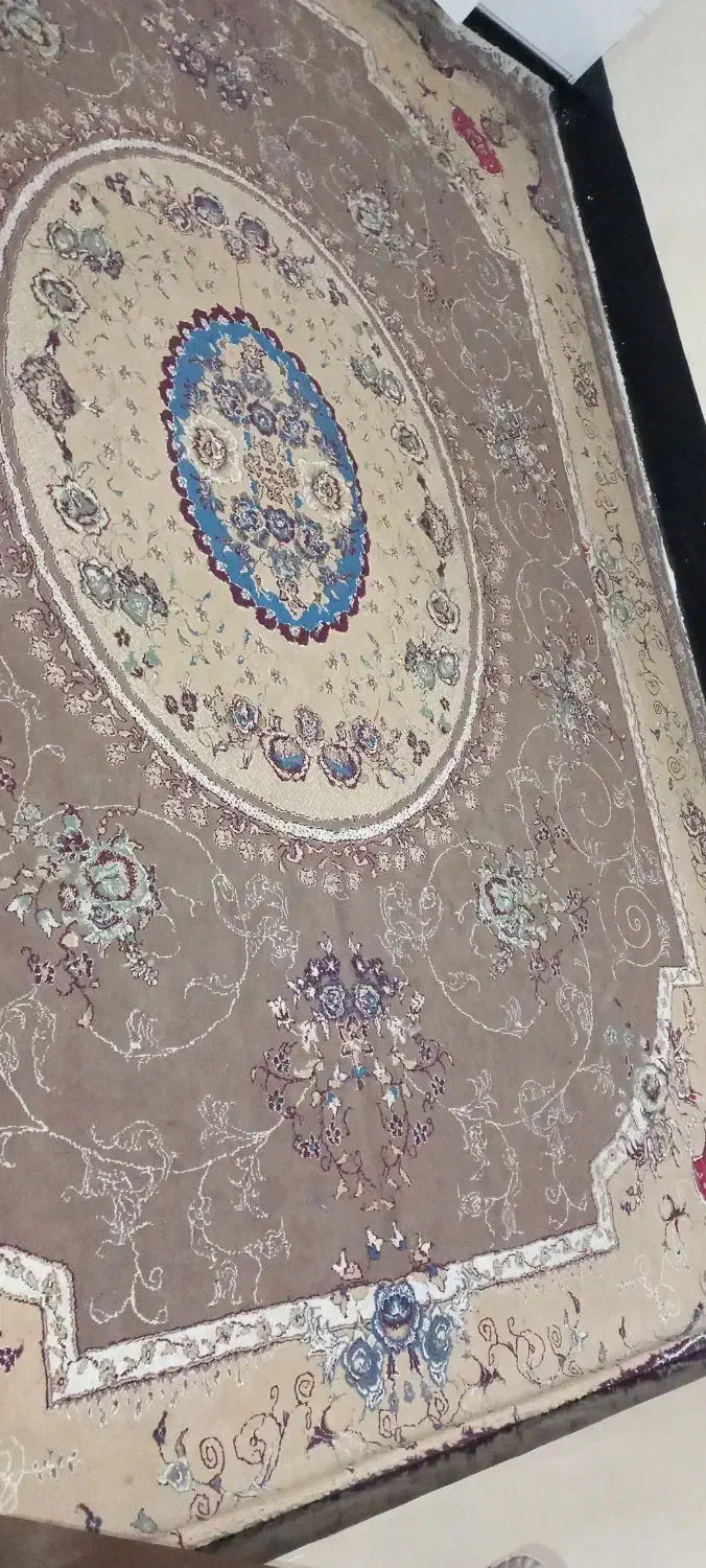 فرش ۱۲متری خورموج|فرش|خورموج, |دیوار