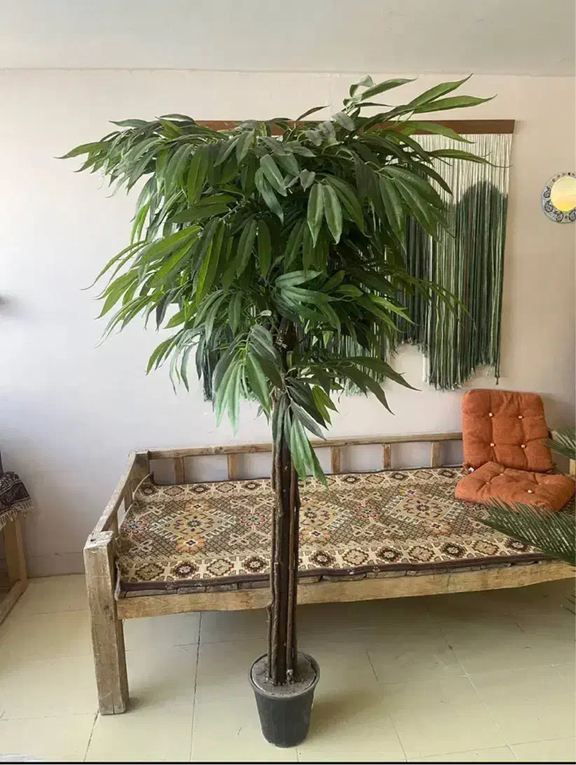 درختچه بنجامین مصنوعی وارداتی|گل مصنوعی|اراک, |دیوار