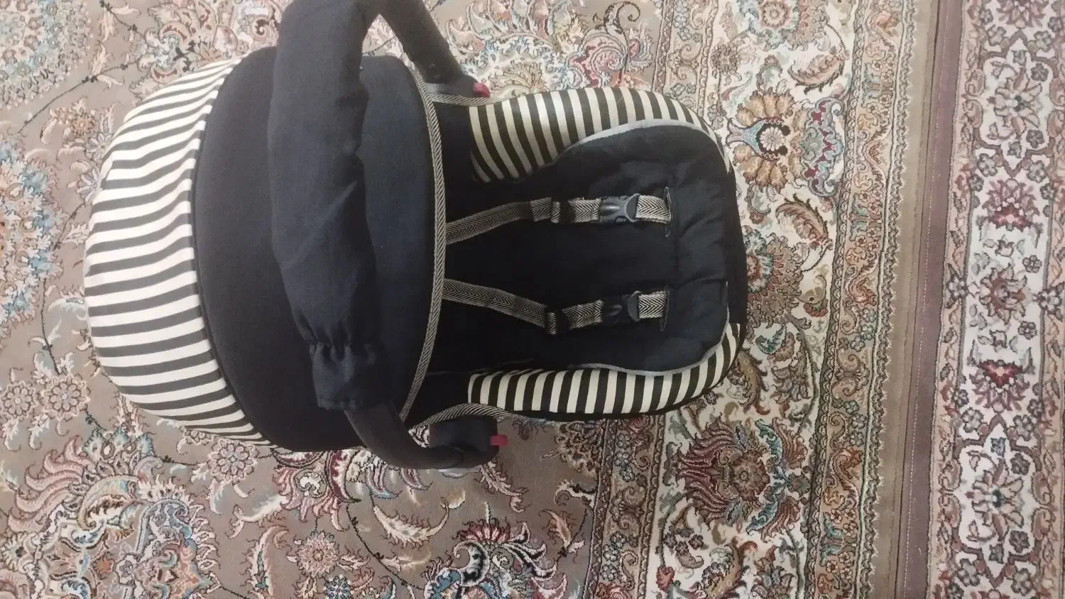 کالسکه نونو|کالسکه و لوازم جانبی|قم, نیروگاه|دیوار