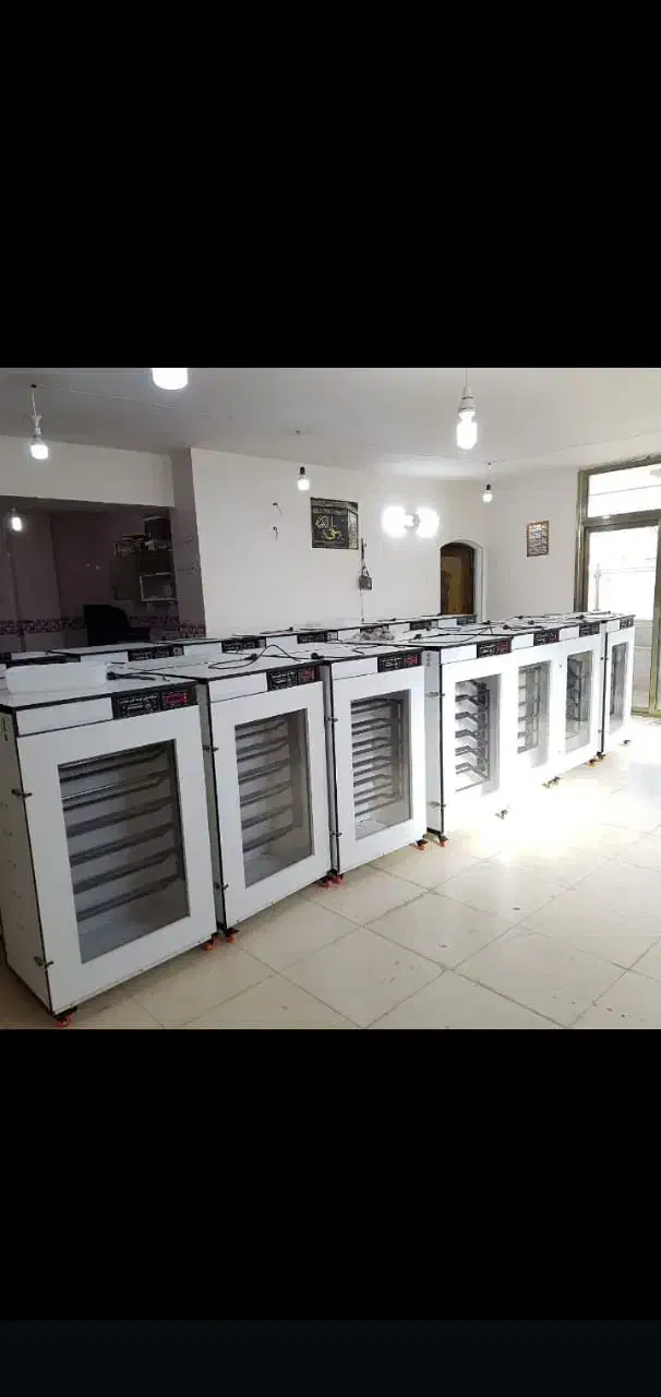 نمایندگی فروش دستگاه جوجه کشی هدایت +سیستم هوشمند|لوازم جانبی حیوانات|زاهدان, |دیوار