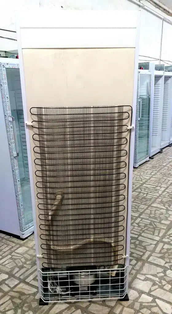 تعمیرات تخصصی انواع یخچال فریزر|خدمات پیشه و مهارت|بندر گناوه, |دیوار