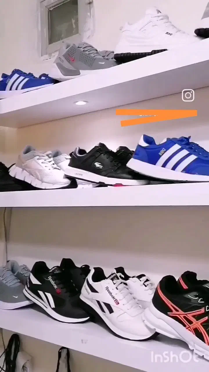 شلف|کتابخانه، شلف، قفسه‌های دیواری|سبزوار, توحیدشهر|دیوار