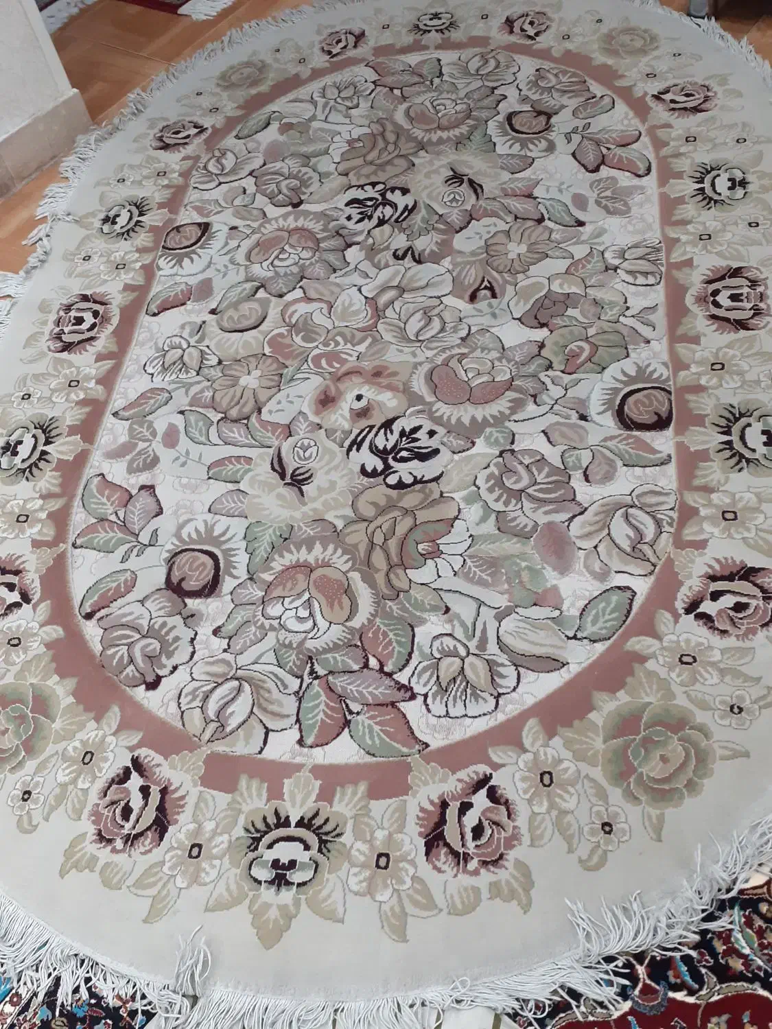 فرش ۴ متری بیضی|فرش|ری, جوانمرد قصاب|دیوار