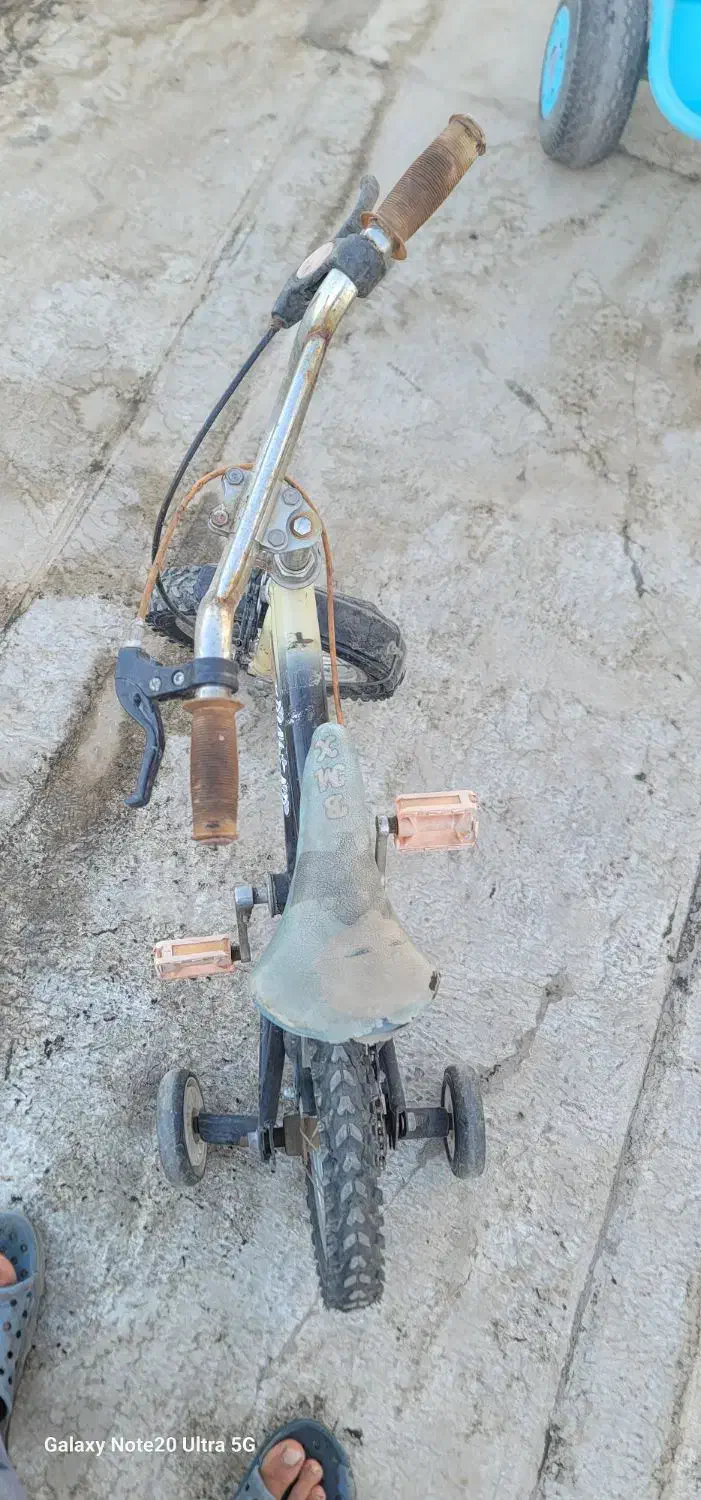 دوچرخه ۱۲|دوچرخه، اسکیت، اسکوتر|جوانرود, |دیوار