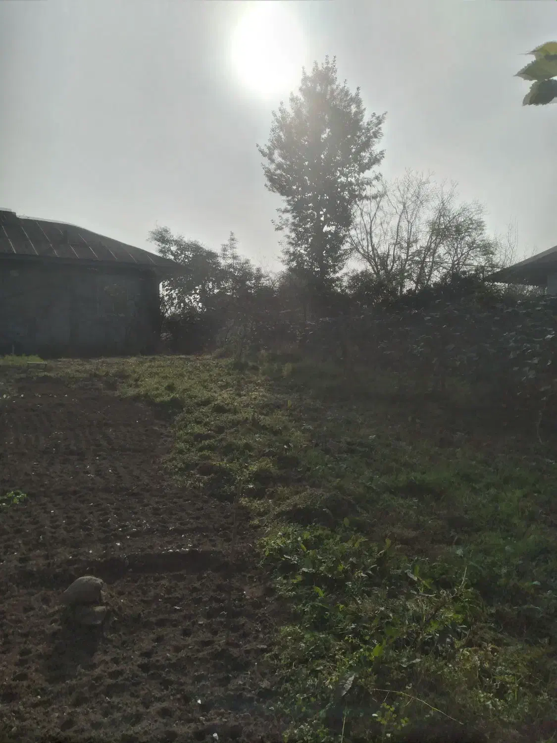 زمین مسکونی|فروش زمین و ملک کلنگی|ماکلوان, |دیوار