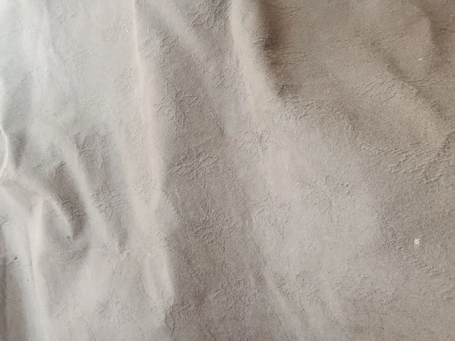 موکت|موکت|لاهیجان, بوجایه|دیوار