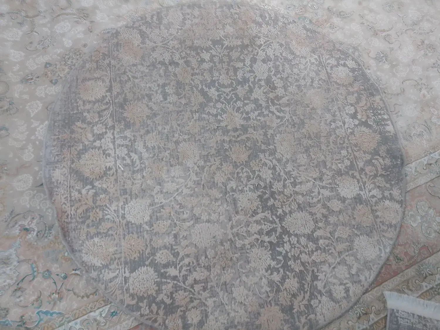 2تا پادری  یه  عدد براه راه رو|پادری|پاکدشت, پاکدشت (مامازند)|دیوار