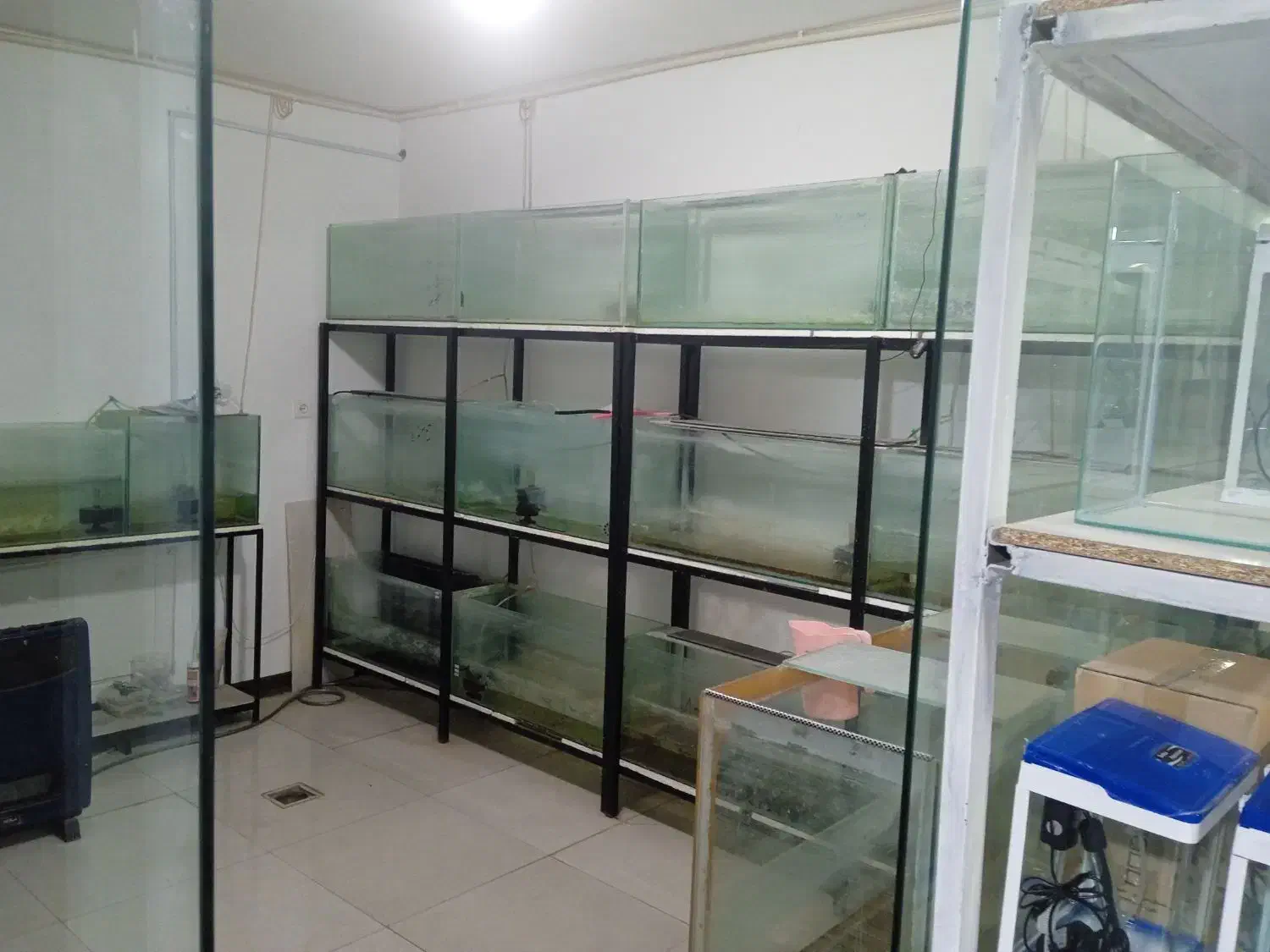 کسب و کار|فروشگاه و مغازه|سامان, |دیوار