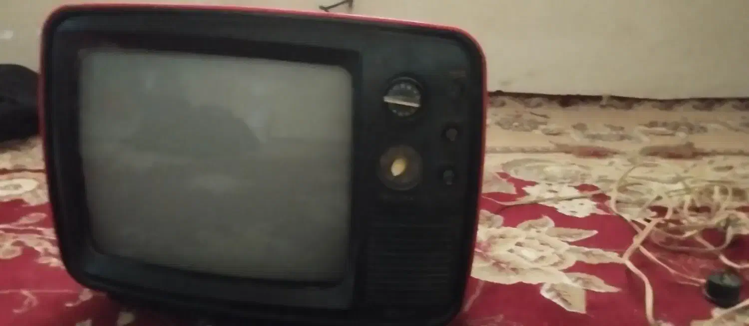 تلوزیون|تلویزیون و پروژکتور|بهمن صغاد, |دیوار