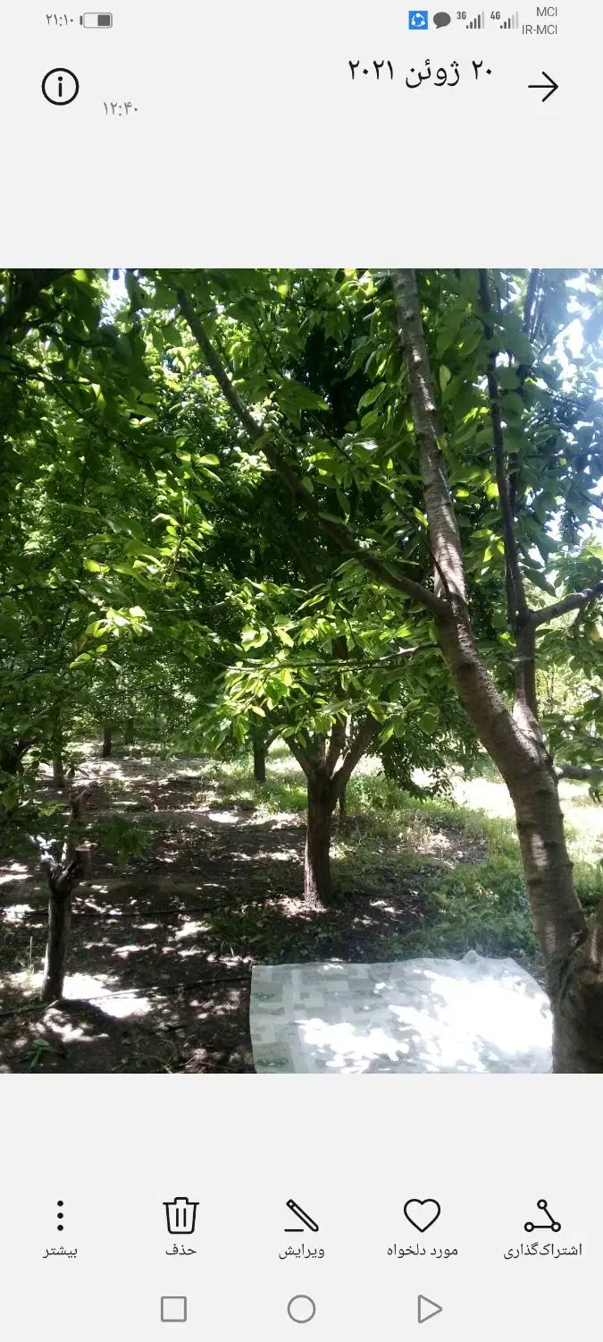 فروش باغ شبسترکافی الملک|فروش دفتر صنعتی، کشاورزی، تجاری|تبریز, |دیوار