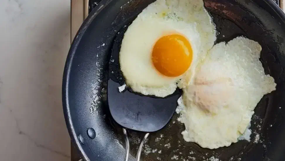 تخم مرغ محلی گلپایگانی با پیک رایگان|خوردنی و آشامیدنی|تهران, تجریش|دیوار