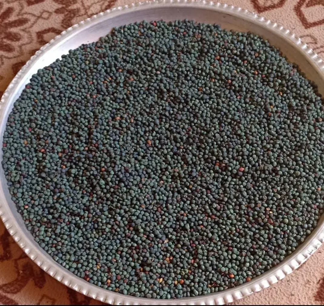 کلخنگ و بن تازه و تر|خوردنی و آشامیدنی|فولادشهر, فولادشهر|دیوار