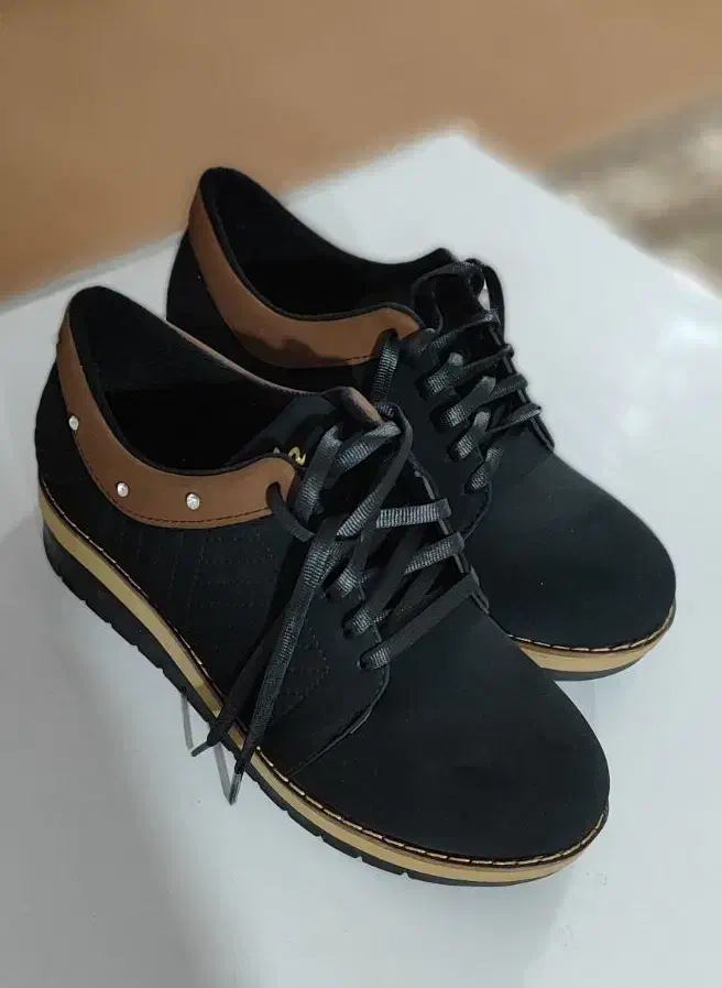 کفش نو|کیف، کفش، کمربند|شاهین دژ, |دیوار