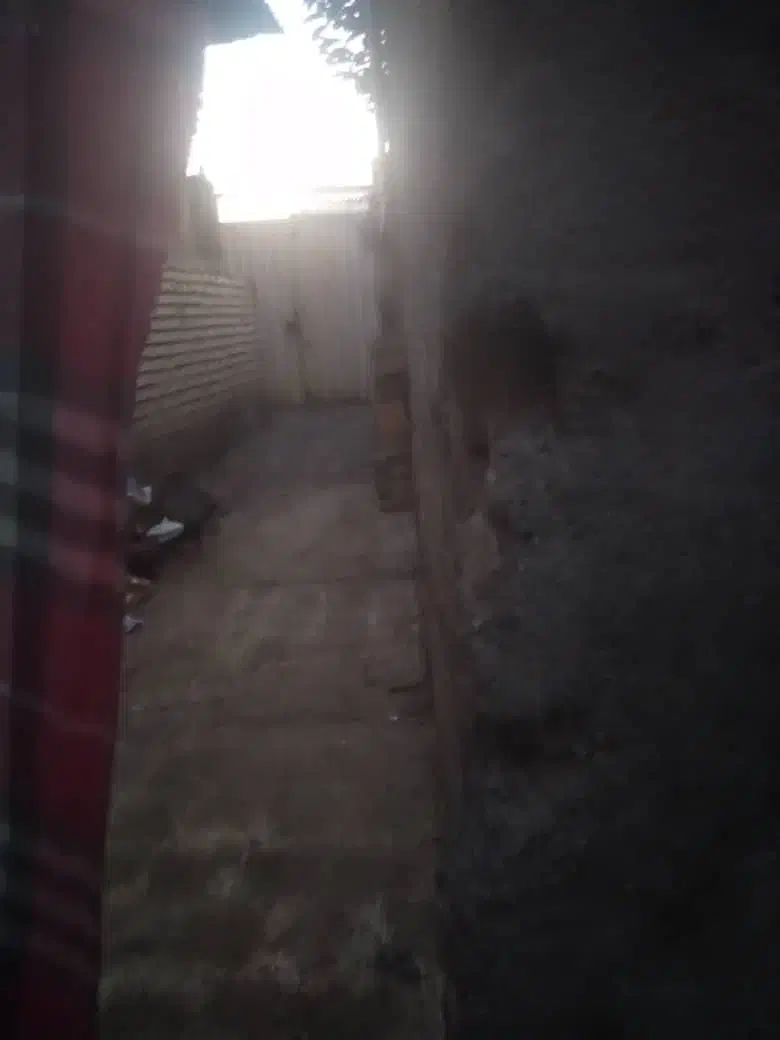 یک حیاط  مسکونی|فروش خانه و ویلا|خان ببین, |دیوار