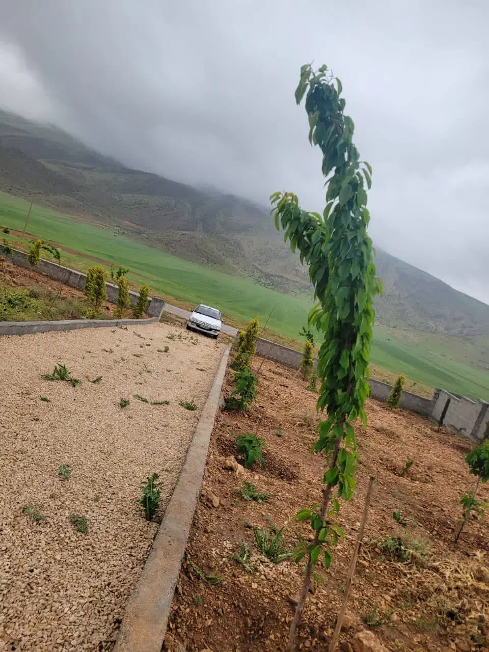 ۳ هکتار زمین کشاورزی مناسب سرمایه گذاری|فروش دفتر صنعتی، کشاورزی، تجاری|شیراز, گلستان|دیوار