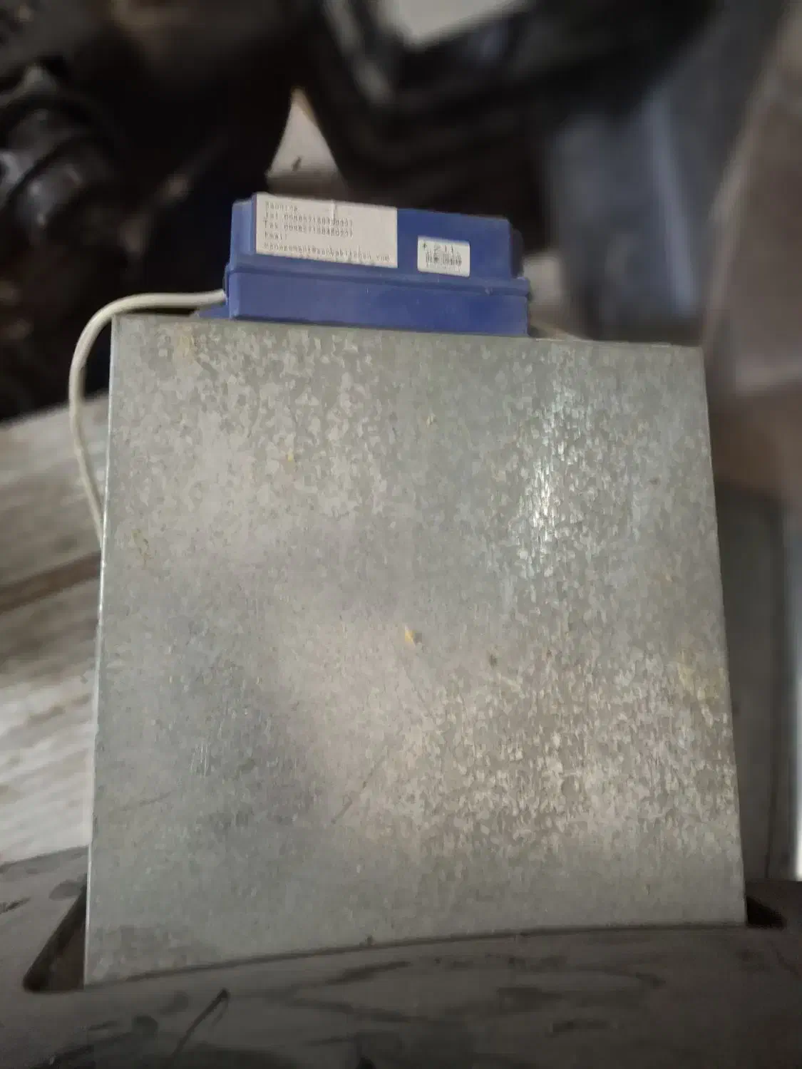 هود|هود|مشهد, سید رضی|دیوار